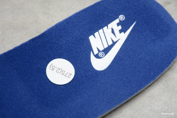 Nike CZ2667-400 Low (2020) Samba Dunk 0211